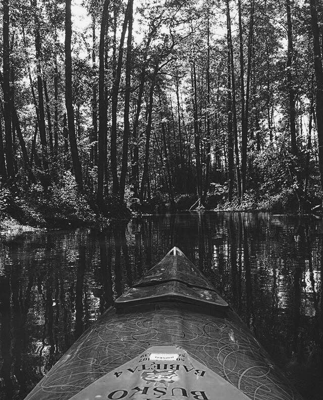 35776206_1879413398817923_5432465207974690816_n