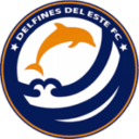Domiican Delfines del Este FC logo